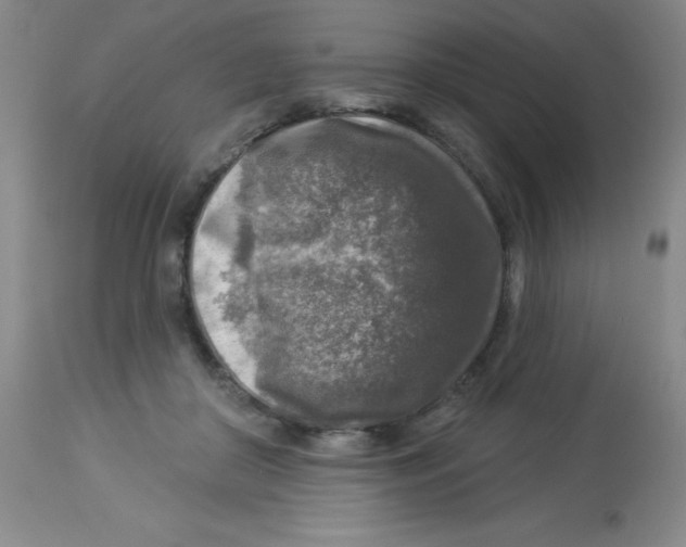 X0000113960410200910232033