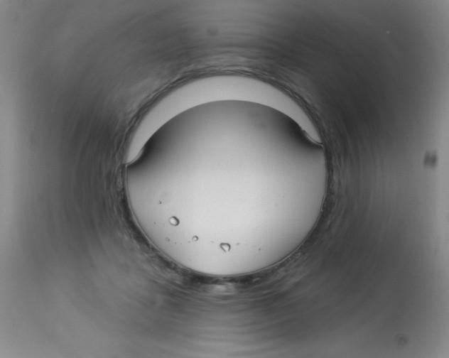 X0000113960411200910232033