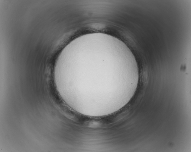X0000113960412200910232033