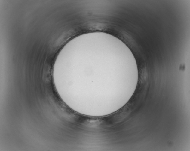 X0000113960414200910232033