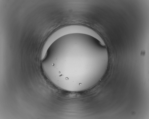 X0000113960415200910232033