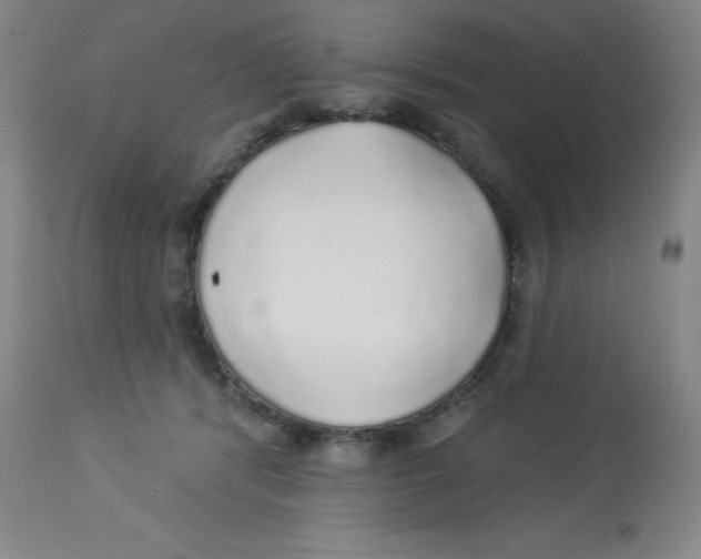 X0000113960416200910232033