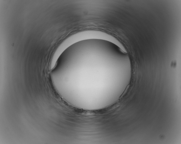 X0000113960419200910232033