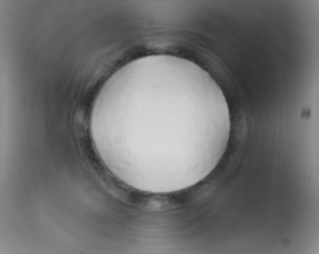 X0000113960420200910232033