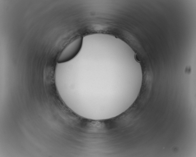 X0000113960421200910232033