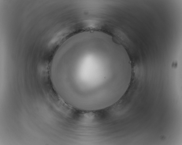 X0000113960423200910232033