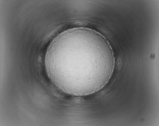 X0000113960424200910232033