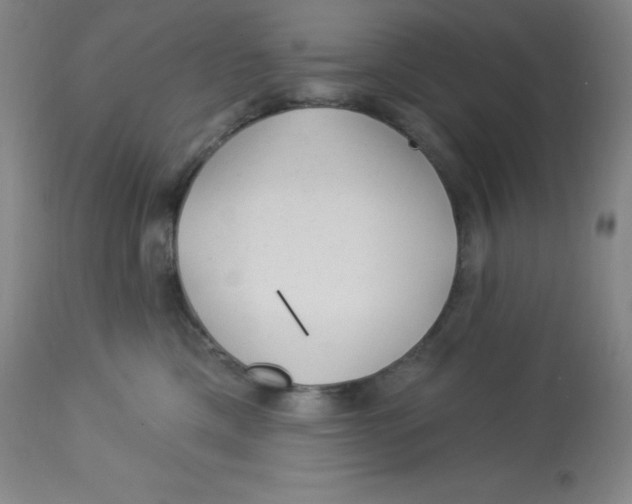 X0000113960425200910232033