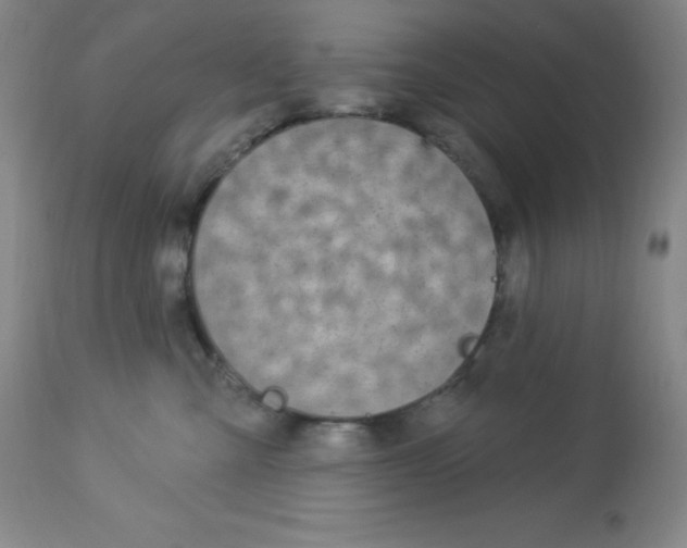 X0000113960427200910232033