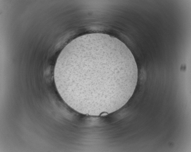X0000113960428200910232033