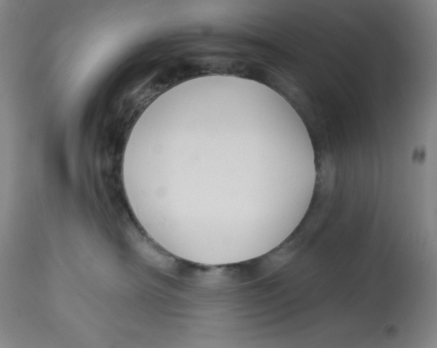 X0000113960430200910232033