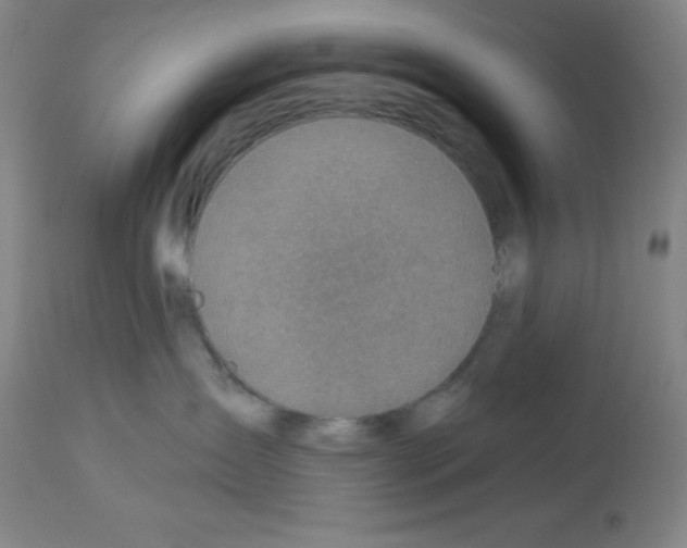 X0000113960431200910232033