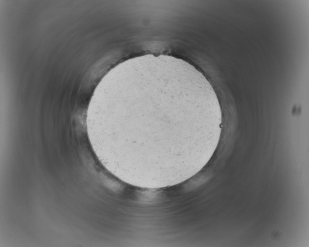 X0000113960432200910232033