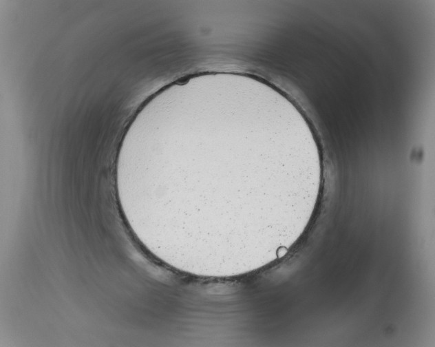 X0000113960433200910232032