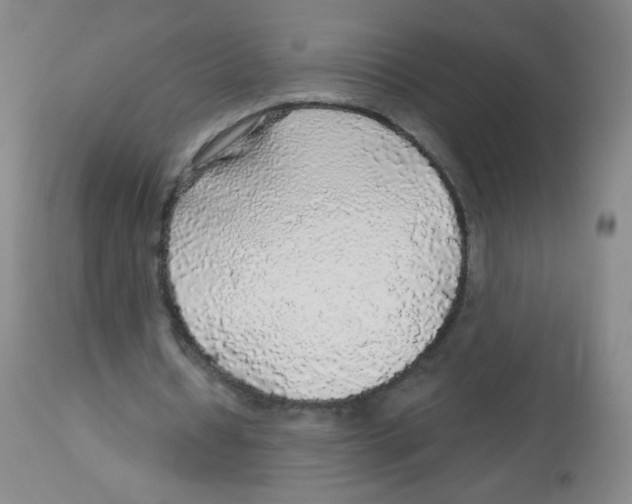X0000113960434200910232032