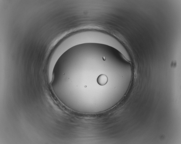 X0000113960436200910232032
