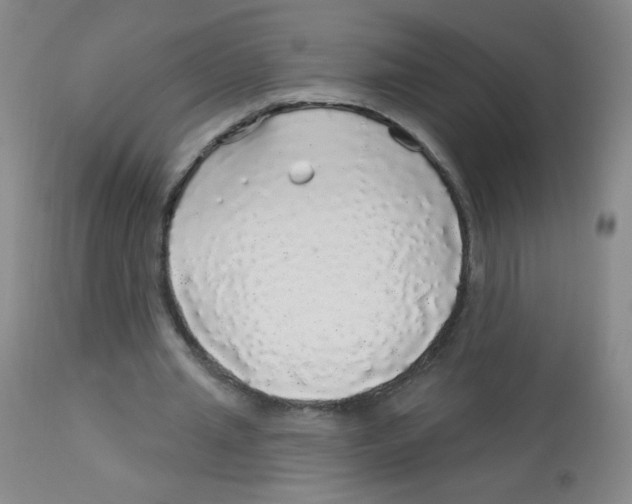 X0000113960437200910232032