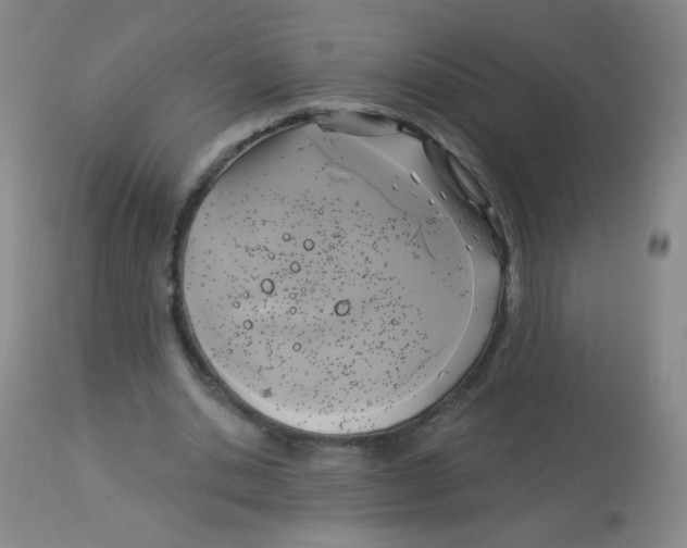 X0000113960438200910232032