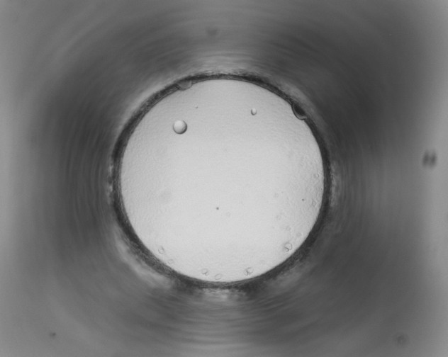 X0000113960439200910232032
