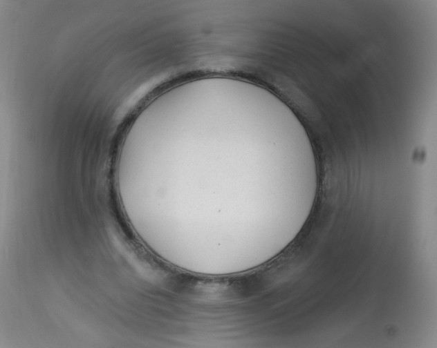 X0000113960440200910232032