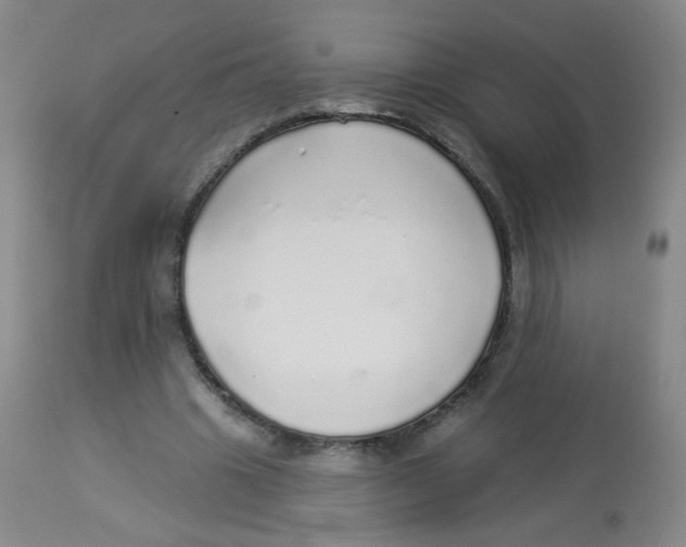 X0000113960441200910232032