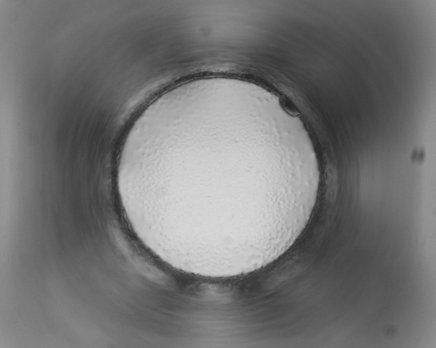 X0000113960442200910232032