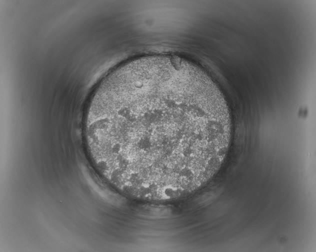 X0000113960443200910232032