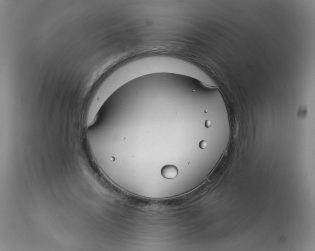 X0000113960444200910232032