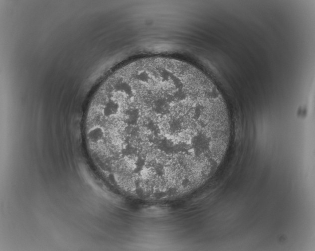 X0000113960447200910232032