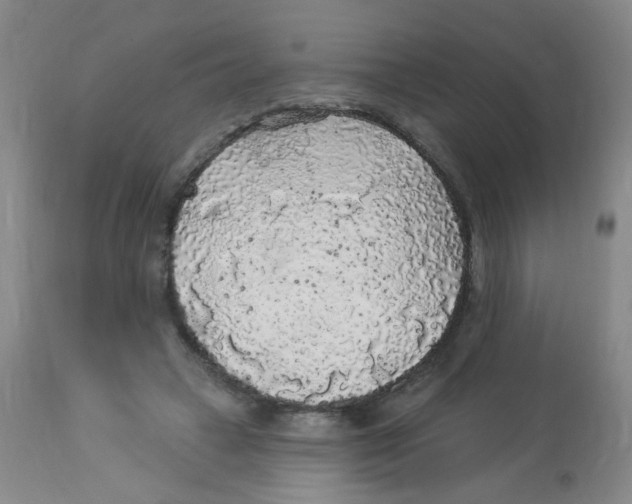 X0000113960449200910232032