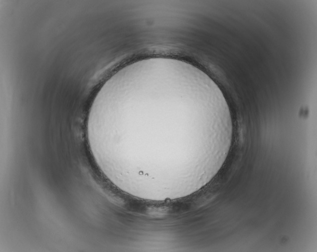 X0000113960450200910232032