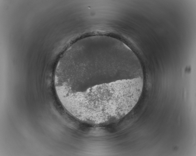 X0000113960451200910232032