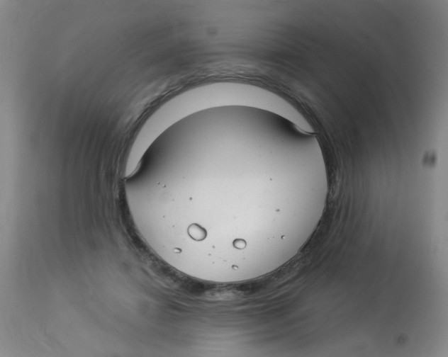 X0000113960452200910232032