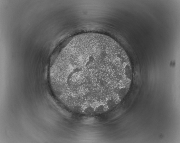 X0000113960454200910232032
