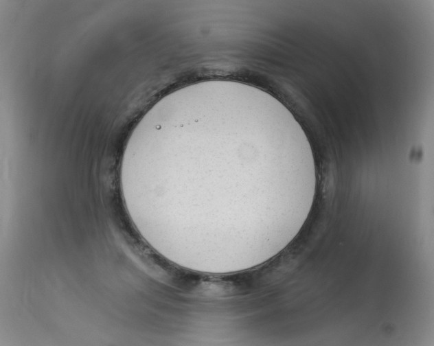 X0000113960455200910232032