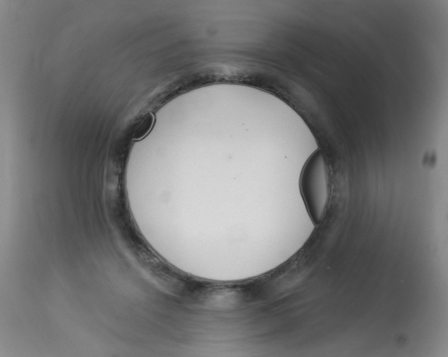 X0000113960456200910232032