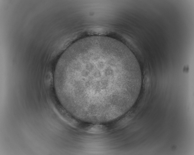 X0000113960459200910232032