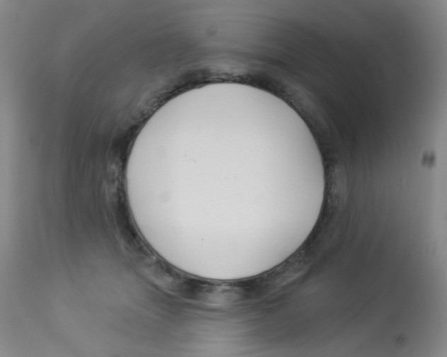 X0000113960463200910232032