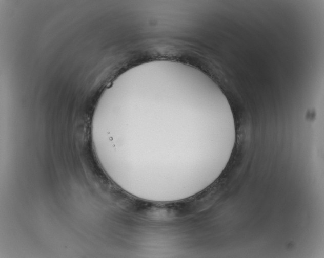 X0000113960464200910232032