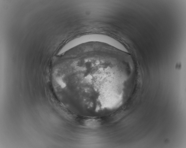 X0000113960465200910232032