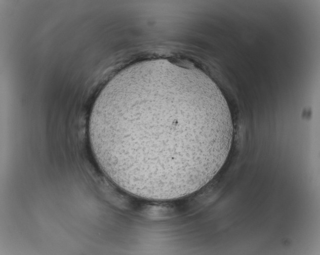 X0000113960466200910232032