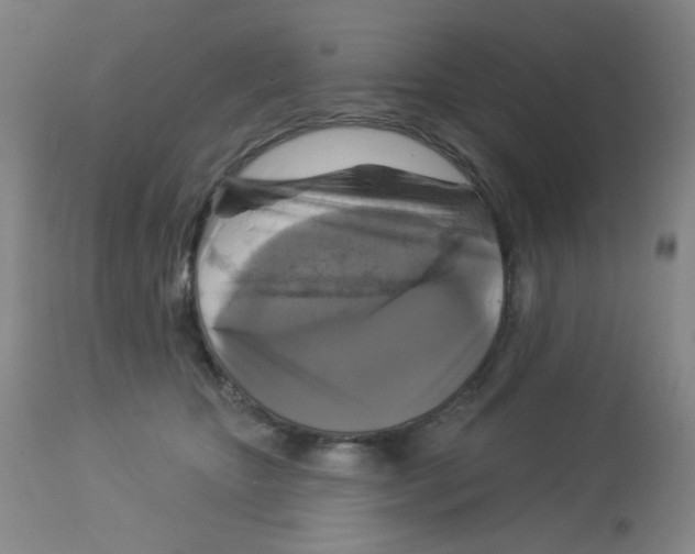 X0000113960467200910232032