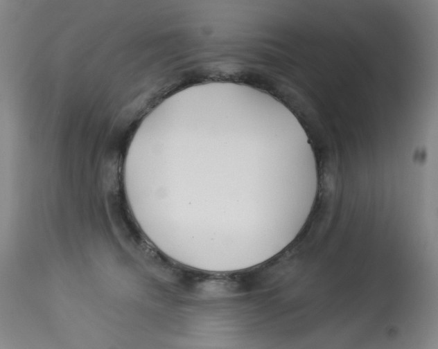X0000113960468200910232032