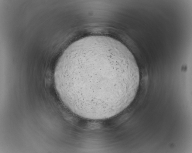 X0000113960469200910232032