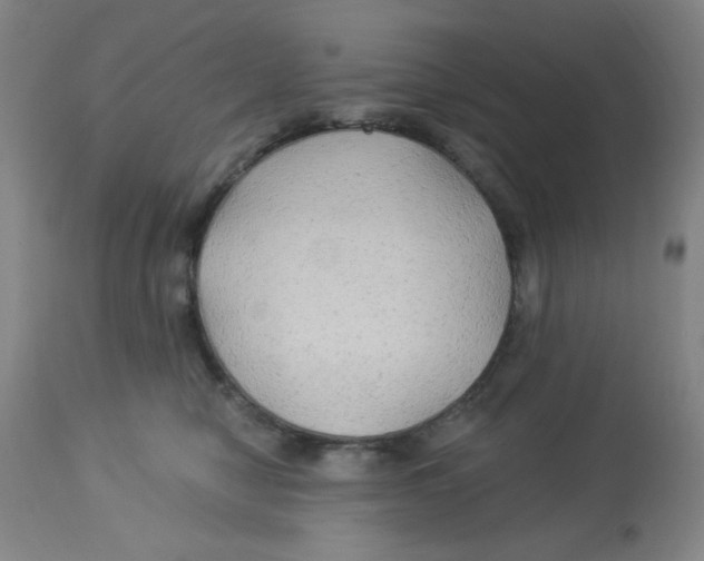 X0000113960470200910232032