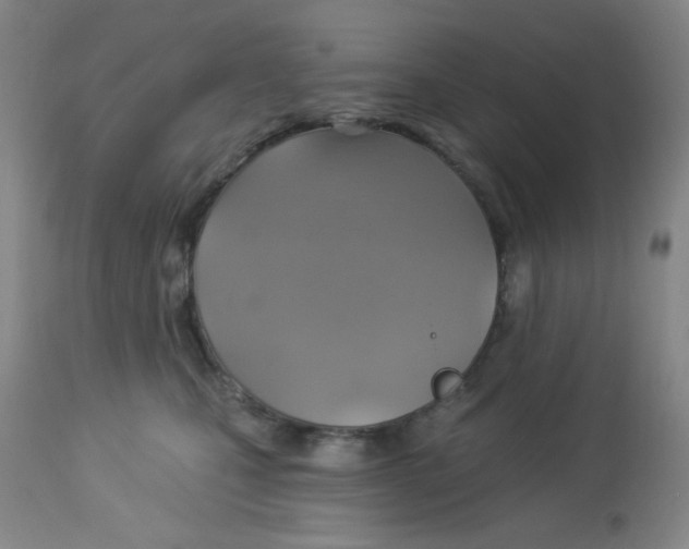 X0000113960471200910232032