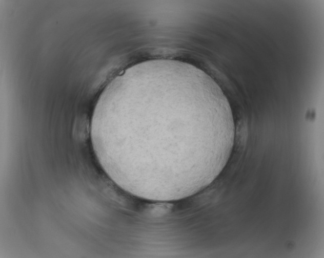 X0000113960474200910232032