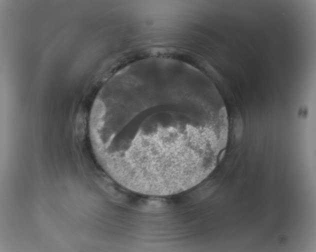 X0000113960475200910232032
