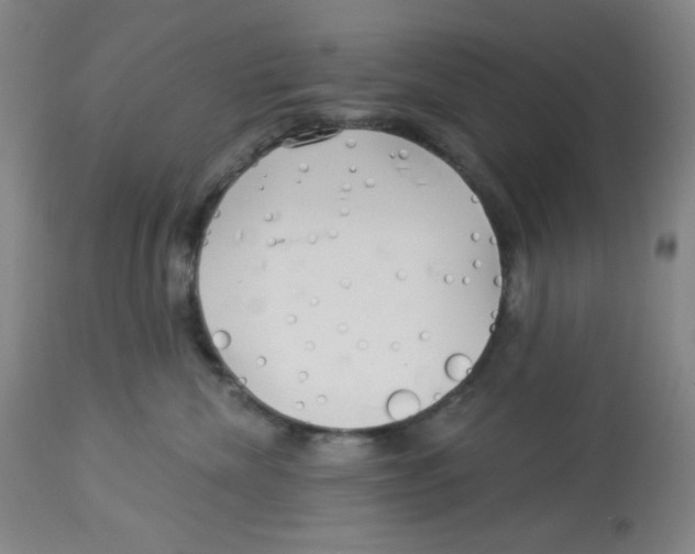 X0000113960476200910232032