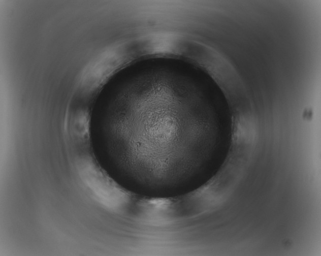 X0000113960478200910232032